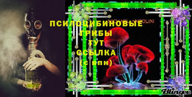 hydra как зайти  Аша  Галлюциногенные грибы MAGIC MUSHROOMS 